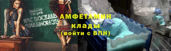 дмт Бородино