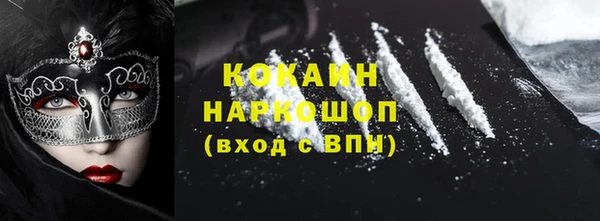 дмт Бородино