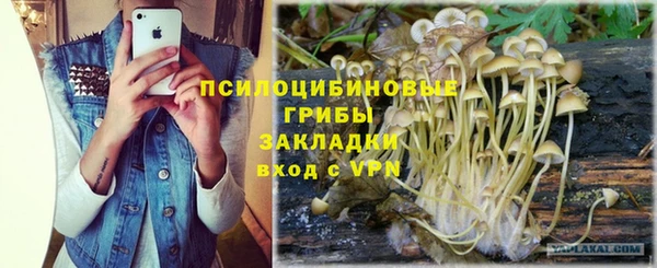 прущий лед Богородск