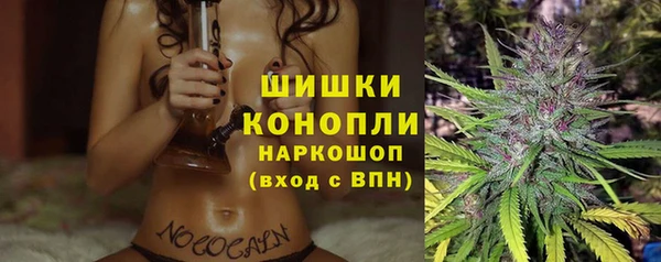 прущая мука Богданович
