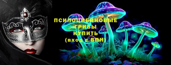 прущий лед Богородск