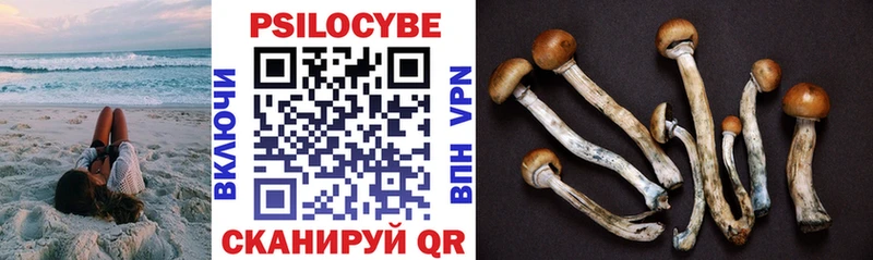 площадка как зайти  Валуйки  Псилоцибиновые грибы мухоморы 