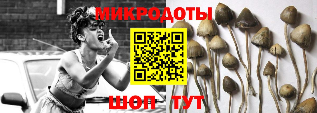 Псилоцибиновые грибы мухоморы Валуйки