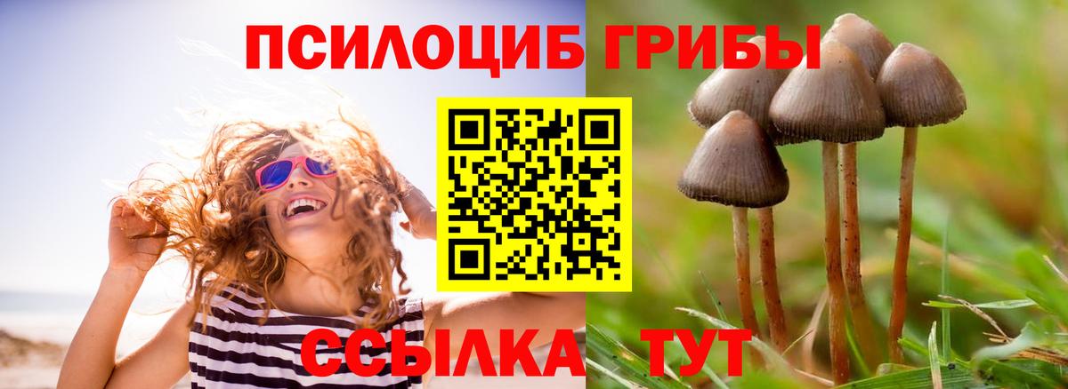 Валуйки  Псилоцибиновые грибы мицелий  Псилоцибиновые грибы мухоморы  Вход с VPN 